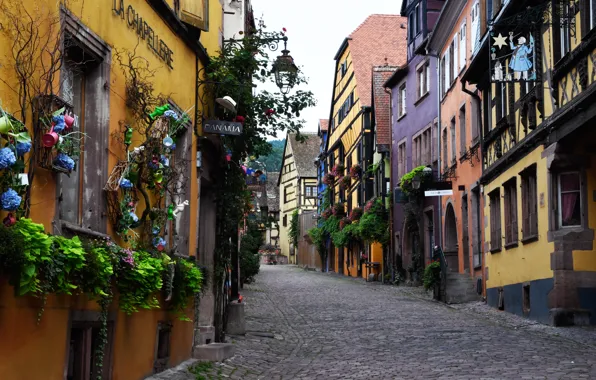 Flowers, street, France, plant, home, lights, Riquewihr, Riquewihr