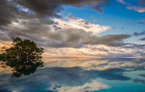 Picture the sky, water, clouds, surface, reflection, tree, blue, Lake