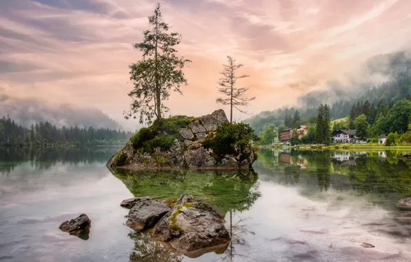Forest, clouds, trees, mountains, fog, lake, reflection, stones