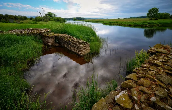 Greens, the sky, grass, clouds, lake, reflection, stones, shore