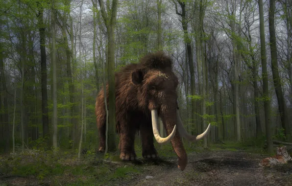 Forest, tiger, rendering, graphics, mammoth
