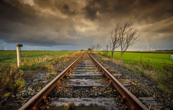 Field, trees, railroad
