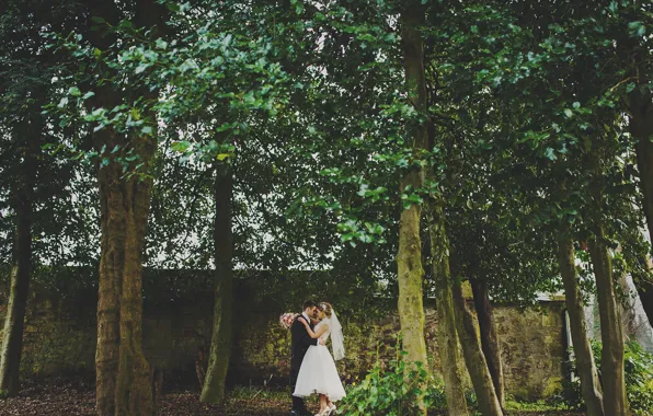 Trees, Scotland, the bride, wedding, the groom