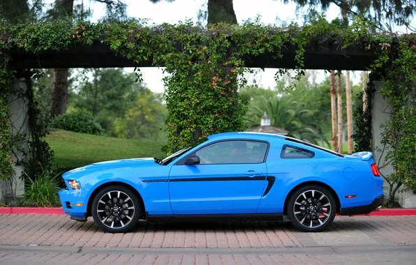 Picture Mustang, Ford, Mustang, 2012, Ford