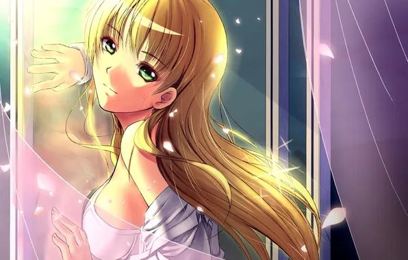 Girl, light, night, linen, anime, petals, Sakura, art
