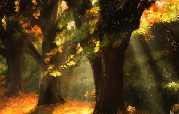 Autumn, leaves, trees