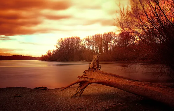 The sky, clouds, trees, lake, the evening, snag