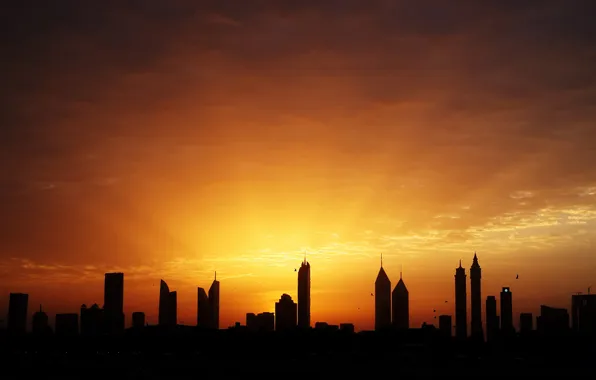 The sky, rays, light, birds, home, morning, Dubai, UAE