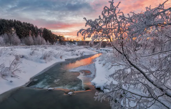 Picture winter, forest, snow, landscape, branches, nature, river, Bank