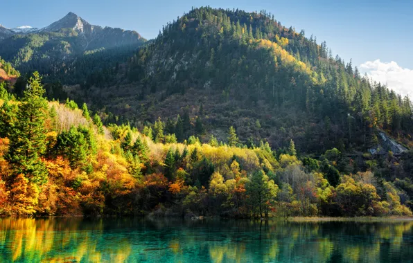 Picture autumn, forest, trees, mountains, lake, China, Sunny, colorful