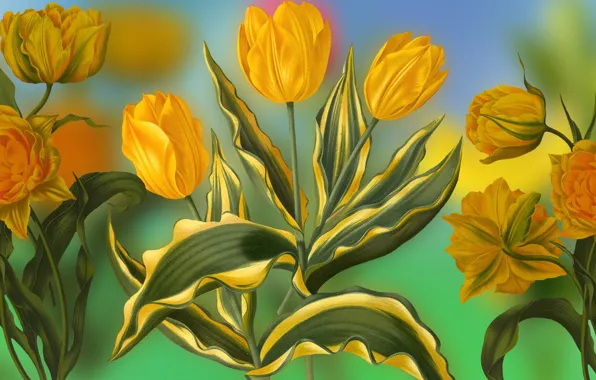 Graphics, Tulipany, Flowers