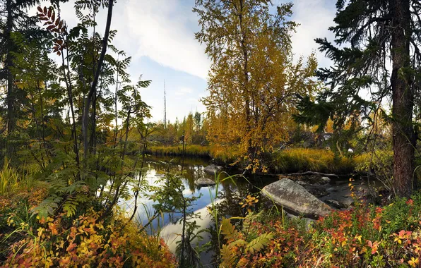 Autumn, stream, Monchegorsk