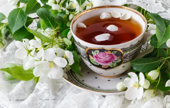 Flowers, branches, tea, spring, petals