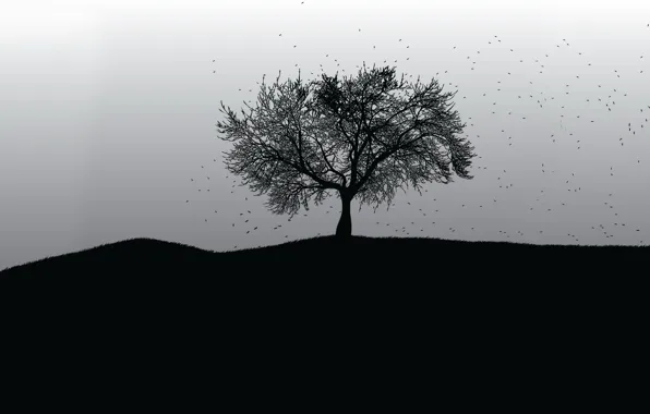 Picture tree, black and white, vector