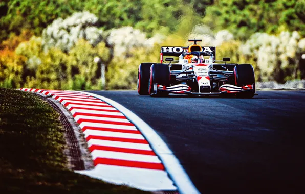 Checo Winner In Monaco, Sergio_Perez, automotive_design, Redbull, Gp, F1 HD  phone wallpaper | Pxfuel