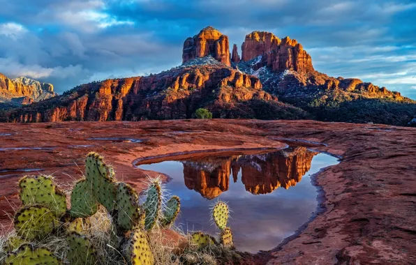 Light, mountains, reflection, stones, rocks, desert, view, puddle