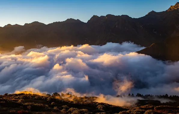 Mountains, fog, rocks, morning, swirls