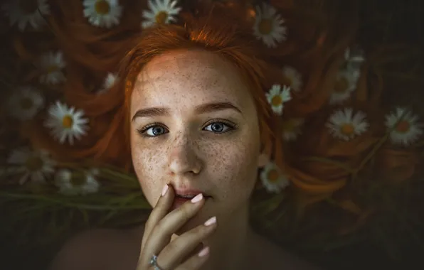 Picture look, girl, flowers, face, mood, hair, hand, chamomile