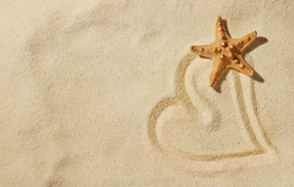 Picture sand, beach, love, nature, mood, heart, star, love