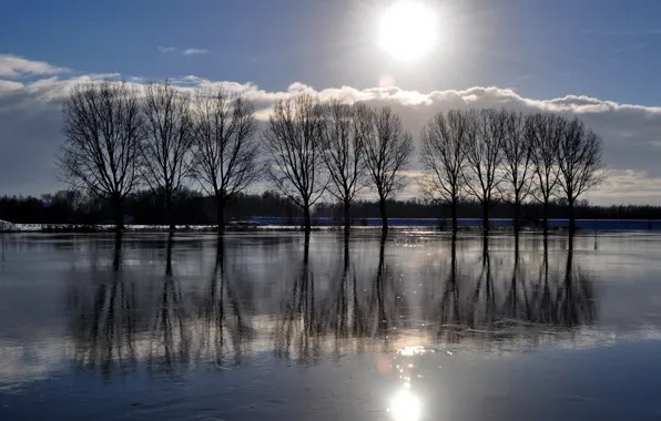 Picture the sky, the sun, clouds, trees, sunset, reflection, river