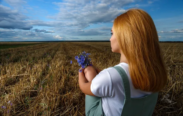 Picture field, girl, red, cornflowers, Sergeev Sergey
