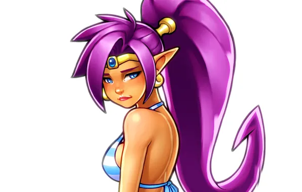 Picture swimsuit, chest, look, girl, elf, art, bikini, shantae