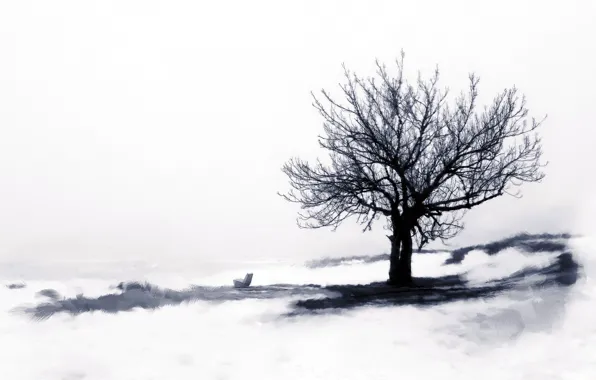 Winter, style, tree
