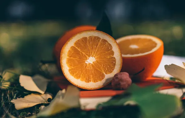 Autumn, leaves, nature, oranges, garden, book, fruit, bokeh