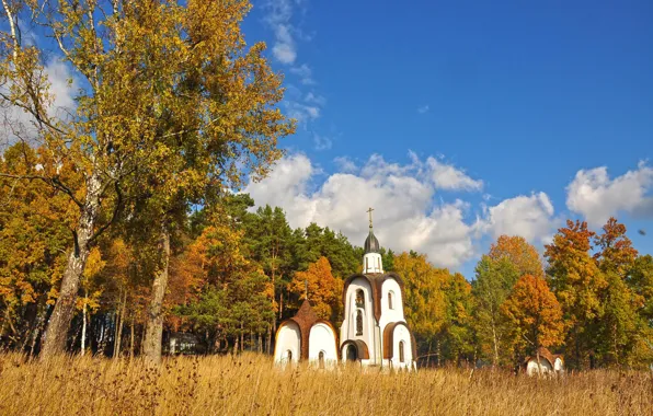 Picture autumn, trees, landscape, nature, the city, Chekhov, Alexander Nevsky Church