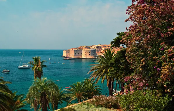 Sea, palm trees, Croatia, Dubrovnik