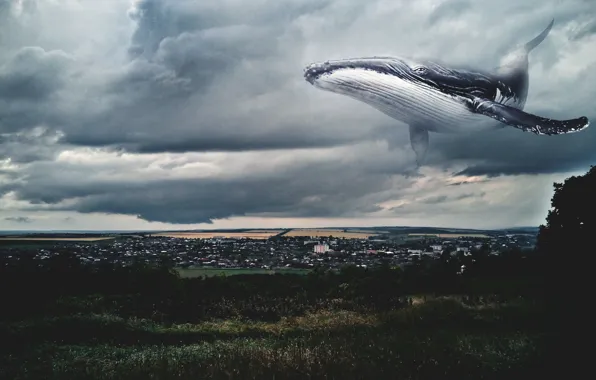 Sea, fiction, the ocean, photoshop, The sky, Kit, whale, Gagauzia