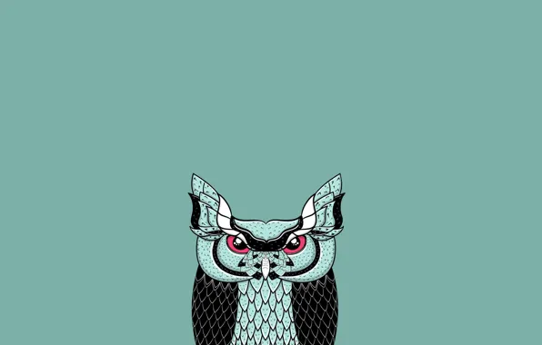 Owl, bird, minimalism, blue background, owl