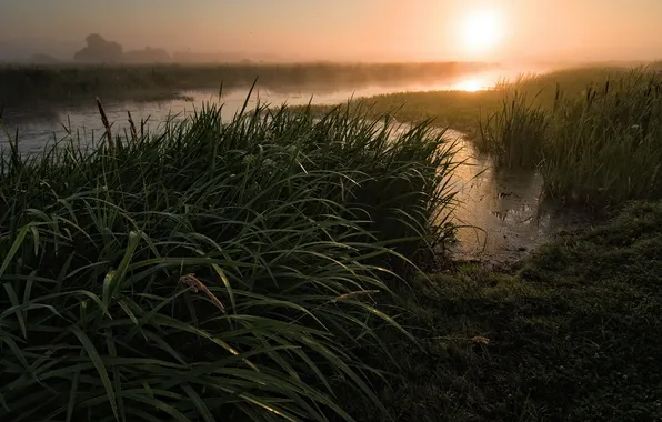 Grass, sunset, river