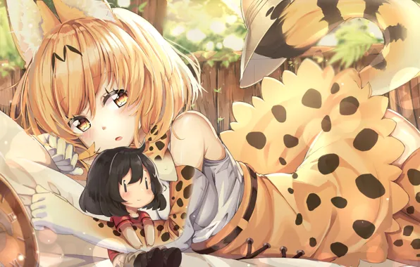 Girl, Kemono Friends, Long-eared friends