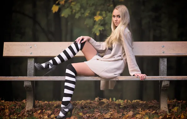 Autumn, girl, foliage, stockings, blonde, shop, legs, knee