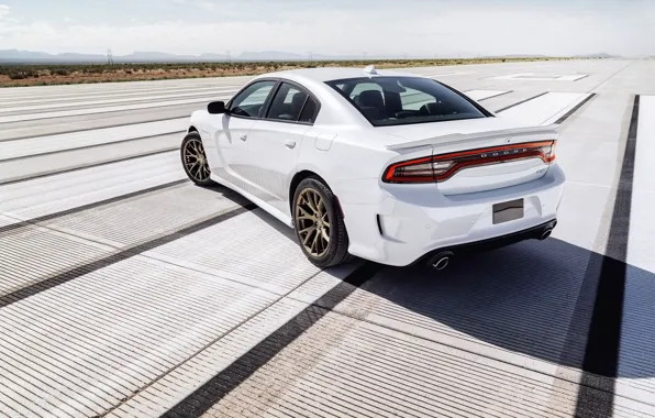 Picture background, horizon, Dodge, Dodge, rear view, Charger, Hellcat, SRT