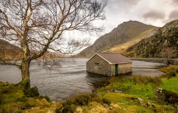 Mountains, lake, house, tree, valley, Wales, Ogwen