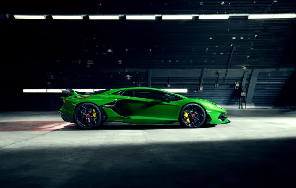 Lamborghini, supercar, side view, Aventador, Novitec, SVJ, 2019, Aventador SVJ