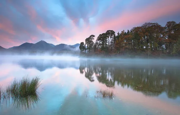 Autumn, forest, grass, clouds, trees, mountains, fog, reflection