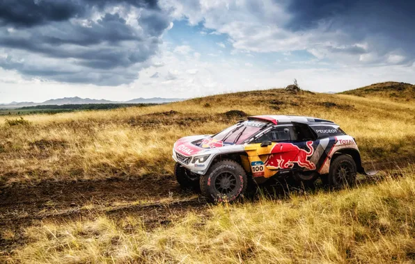 Auto, Sport, Machine, Speed, Race, Peugeot, Red Bull, Rally