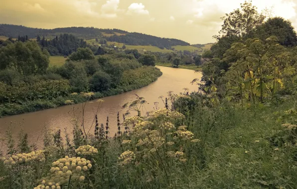 Water, mountains, River