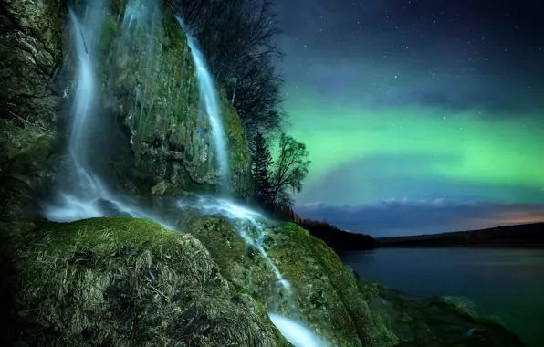 The sky, stars, trees, night, nature, rock, river, waterfall