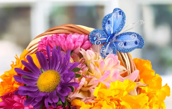 Picture flowers, butterfly, basket, bouquet, petals