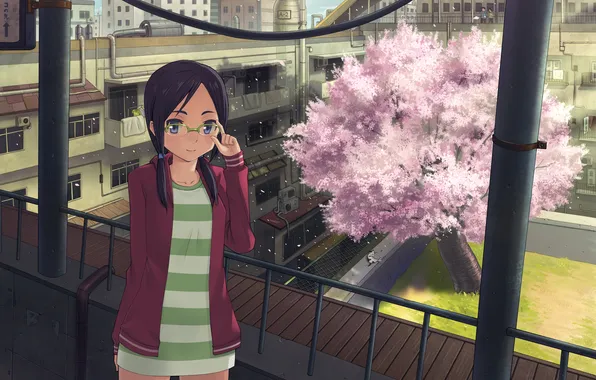 Cat, tree, home, Sakura, glasses, girl, balcony