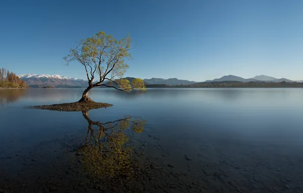 Picture mountains, nature, lake, reflection, tree. surface