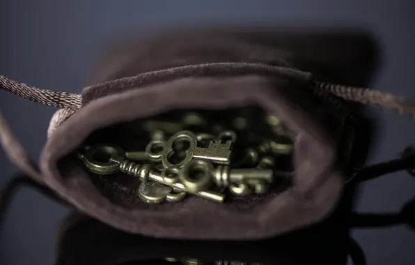 Macro, background, keys