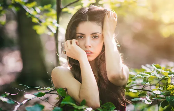 Look, leaves, girl, the sun, branches, face, portrait, hands