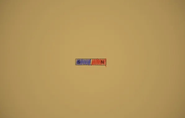 Picture pole, magnet, Magnet