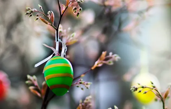 Picture NATURE, EGG, BRANCH, MACRO, EASTER, COLOR, GREEN
