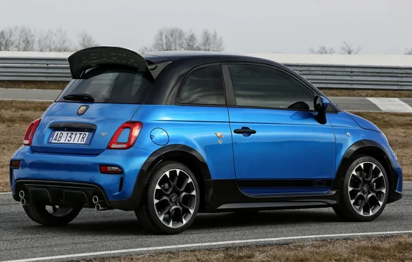 Picture Rally, exterior, Tribute 131, Abarth 695